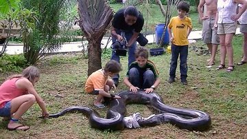 Imagem Anaconda de 5,2 metros e 80 quilos é capturada após comer cão