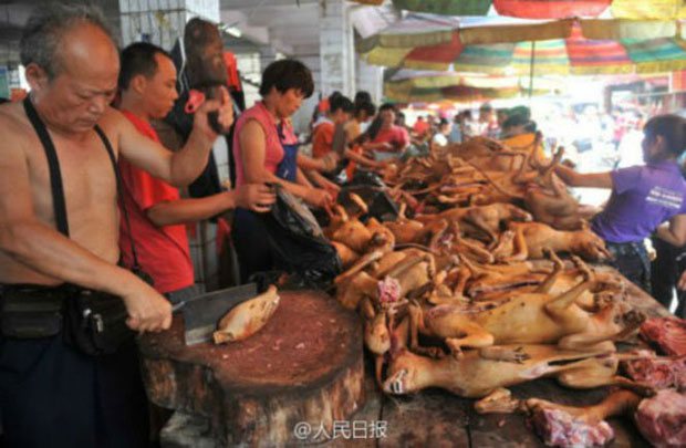Imagem Açougueiros preparam abate de 10 mil cães durante festival na China