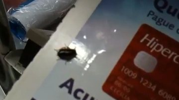 Imagem Mais baratas: homem flagra inseto no caixa do Bompreço. Veja vídeo