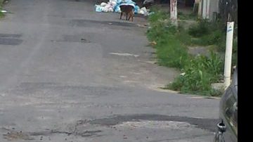 Imagem ‘Você Repórter’: Moradores reclamam de coleta de lixo; Limpurb atende