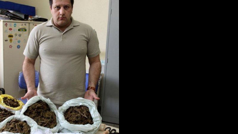 Imagem Polícia apreende 30kg de maconha