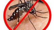 Imagem Simões Filho monta comitê de combate à dengue
