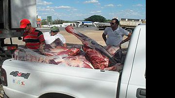 Imagem Polícia apreende 800 kg de carne em Juazeiro